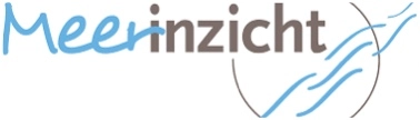 meer inzicht logo